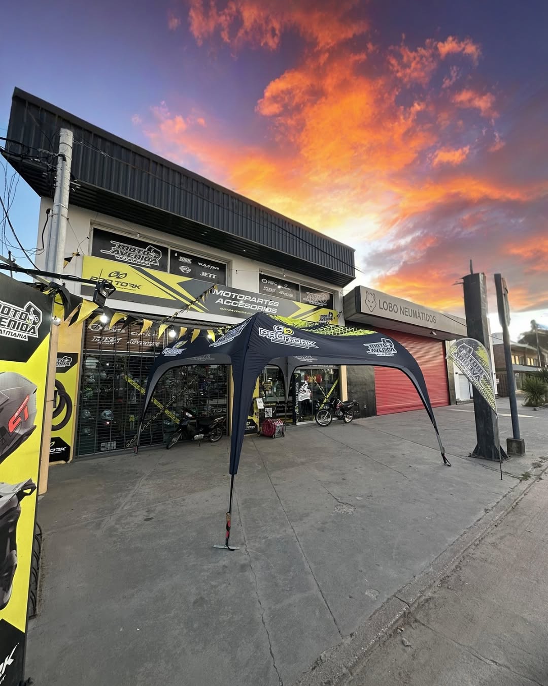 Importadores y Distribuidores Mayorista Pro Tork Argentina